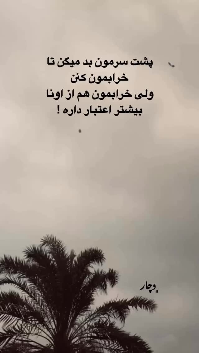  جدید ترین استوری اینستاگرام جاوید یوسفی