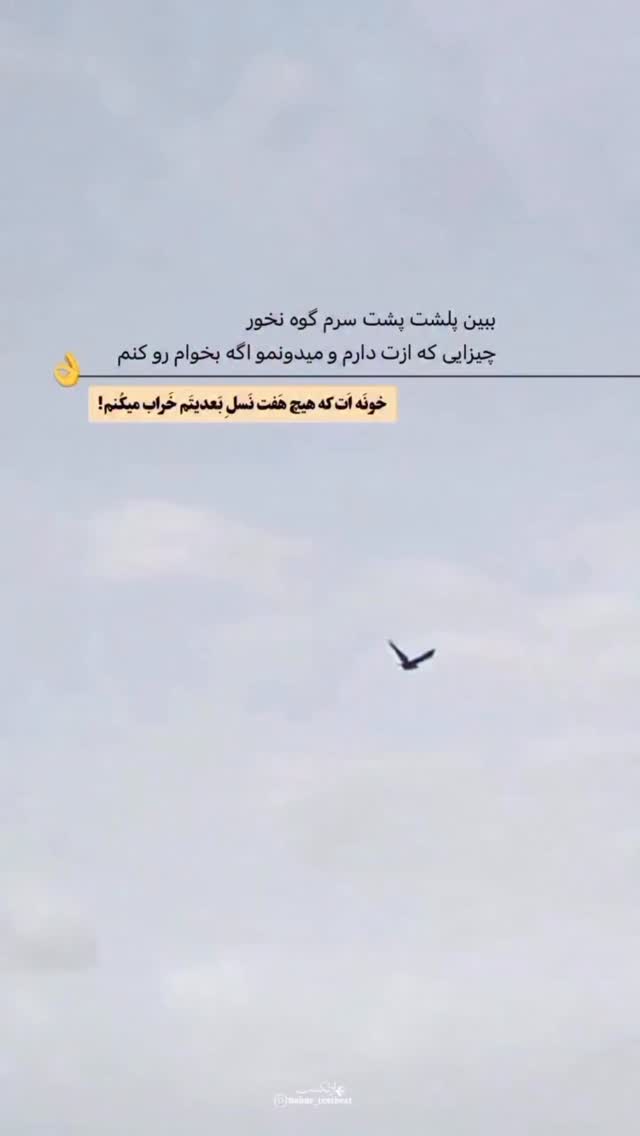  جدید ترین استوری اینستاگرام جاوید یوسفی