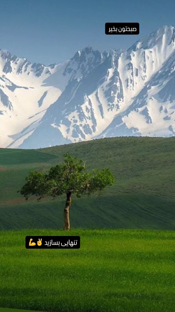  جدید ترین استوری اینستاگرام وحید جام پور