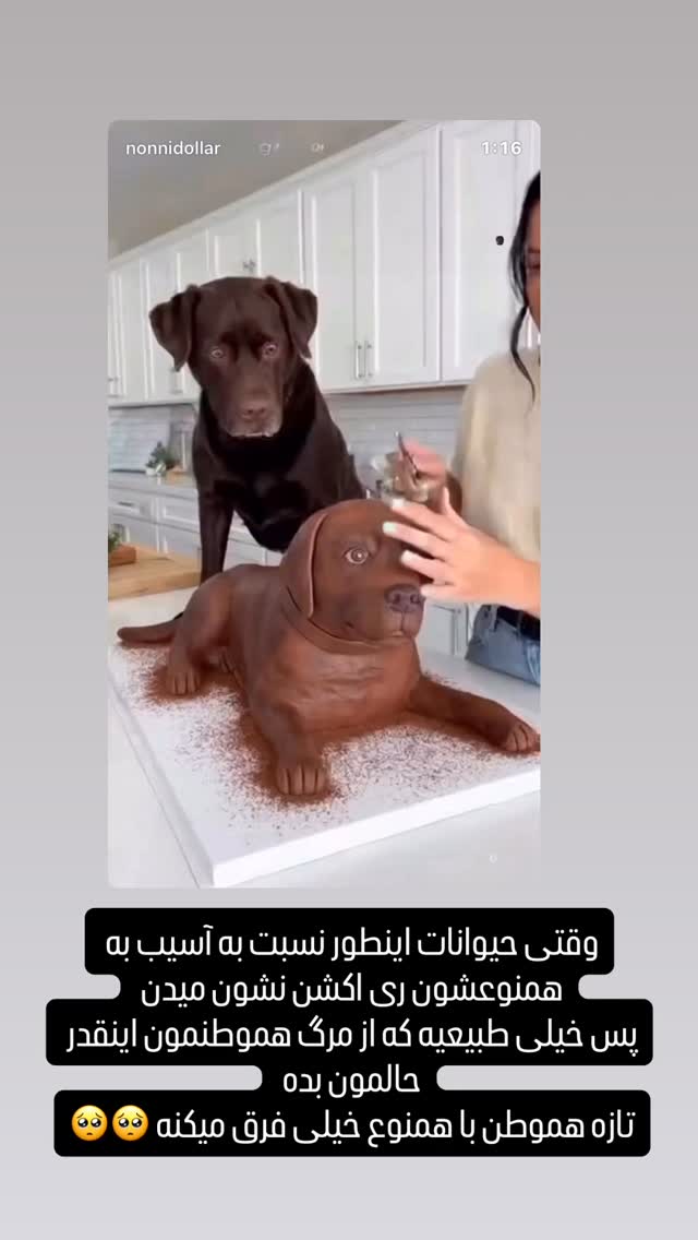  جدید ترین استوری اینستاگرام وحید جام پور