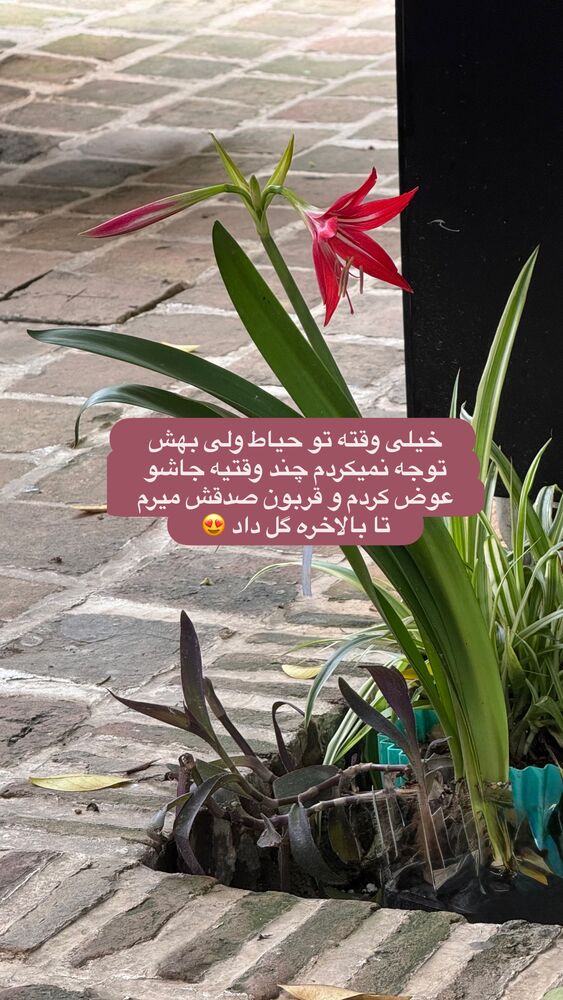  جدید ترین استوری اینستاگرام کاچه ها