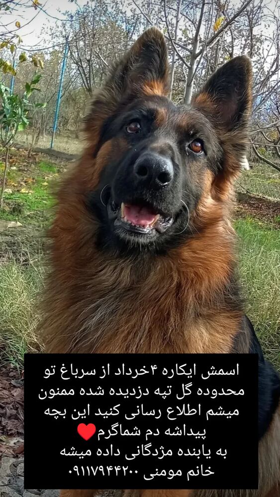  جدید ترین استوری اینستاگرام کاچه ها