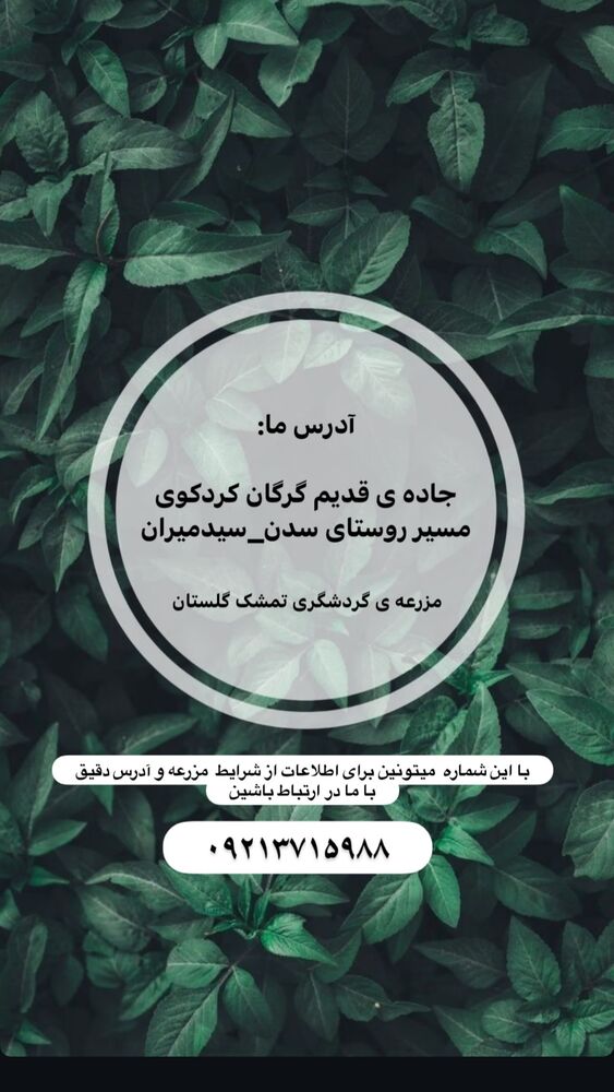  جدید ترین استوری اینستاگرام کاچه ها