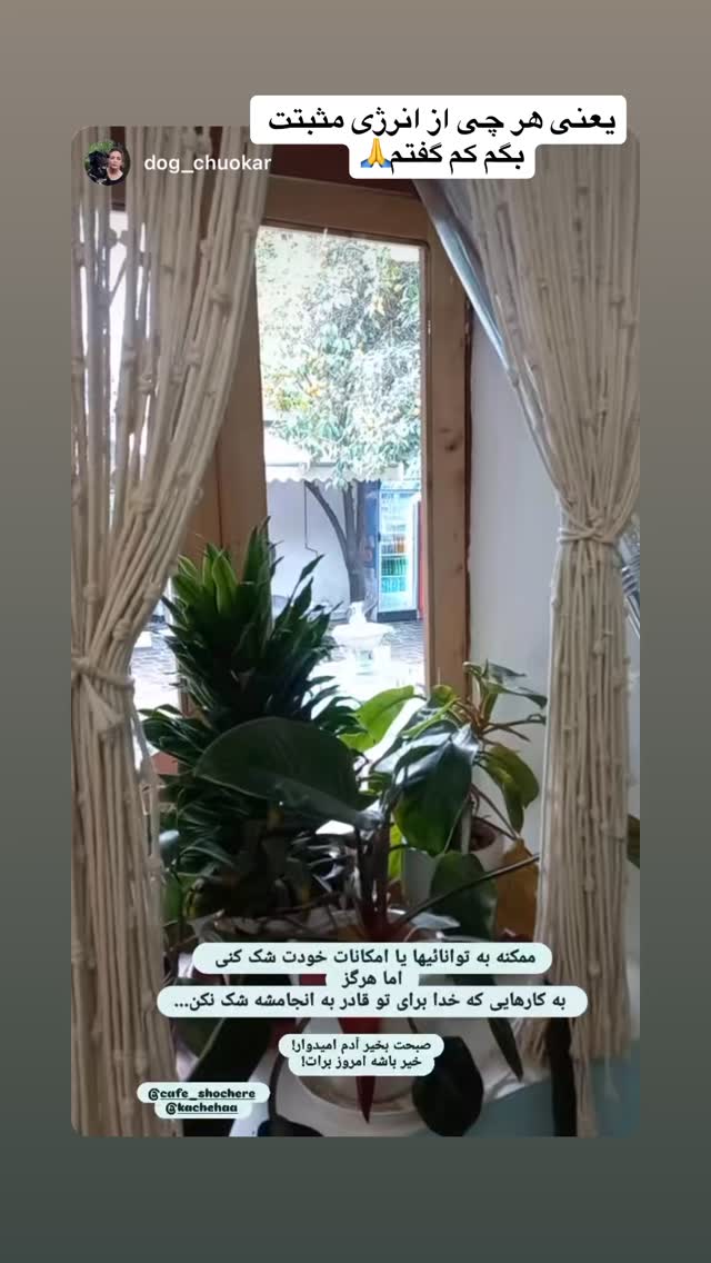  جدید ترین استوری اینستاگرام کاچه ها