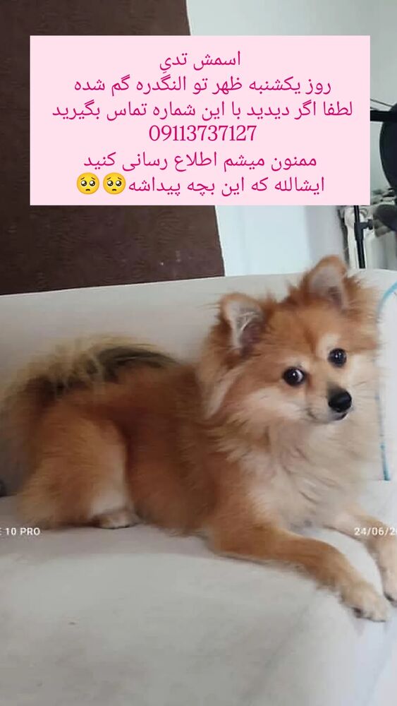  جدید ترین استوری اینستاگرام کاچه ها