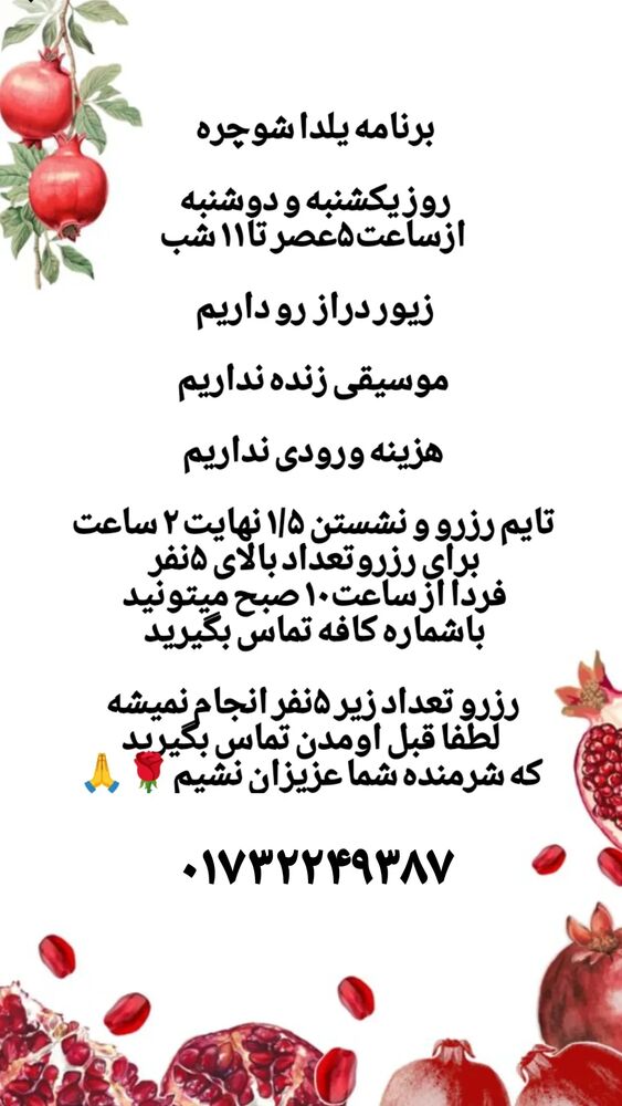  جدید ترین استوری اینستاگرام کاچه ها