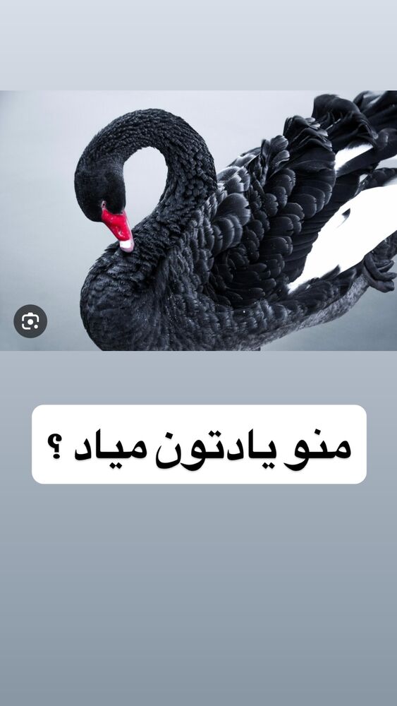  جدید ترین استوری اینستاگرام آرش کهنگی