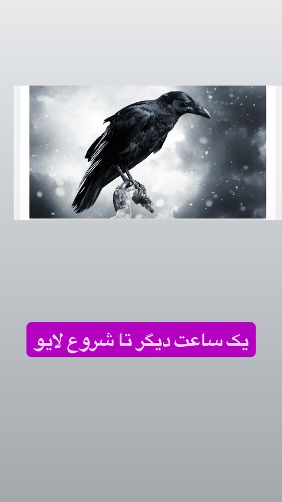  جدید ترین استوری اینستاگرام آرش کهنگی