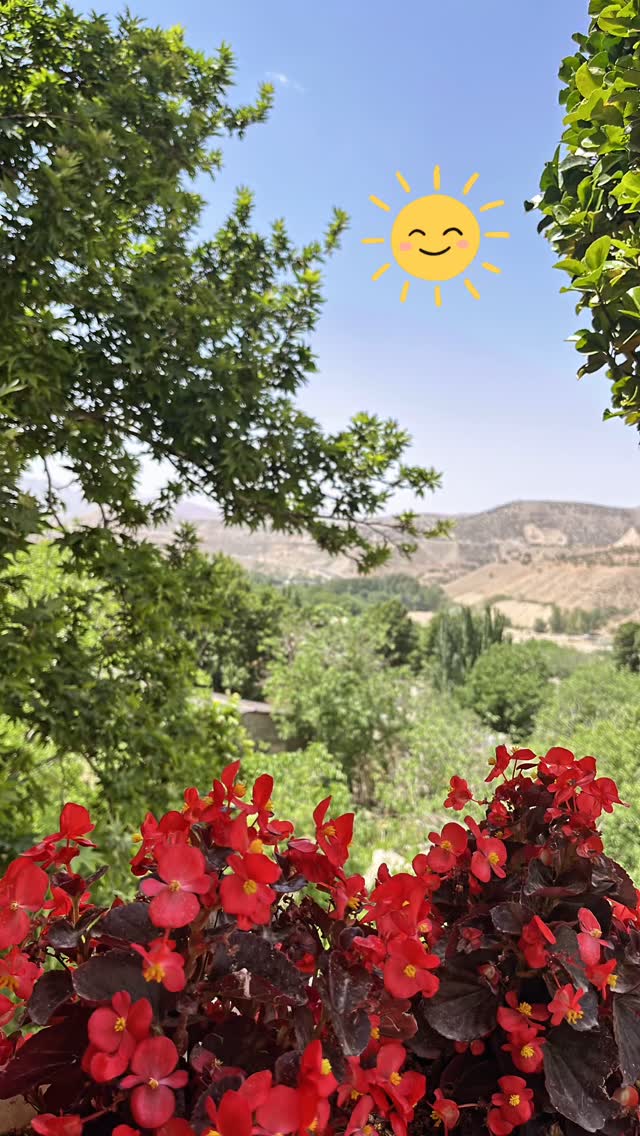  جدید ترین استوری اینستاگرام کمند امیر سلیمانی