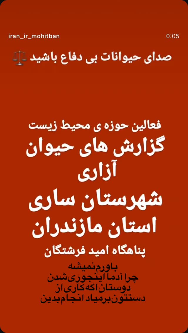  جدید ترین استوری اینستاگرام کمند امیر سلیمانی