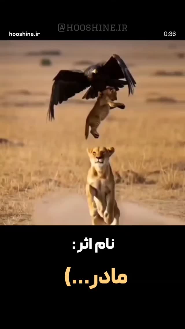  جدید ترین استوری اینستاگرام کمند امیر سلیمانی