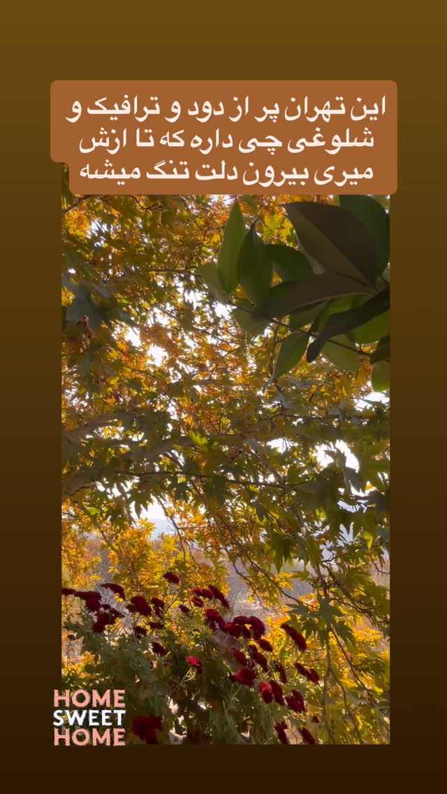  جدید ترین استوری اینستاگرام کمند امیر سلیمانی