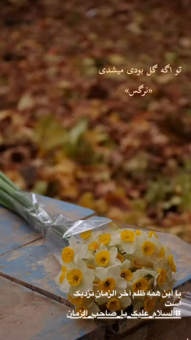  جدید ترین استوری اینستاگرام کامبیز بابایی