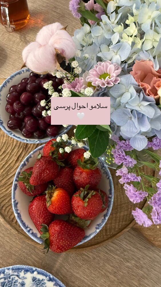  جدید ترین استوری اینستاگرام كامليا رودنشين