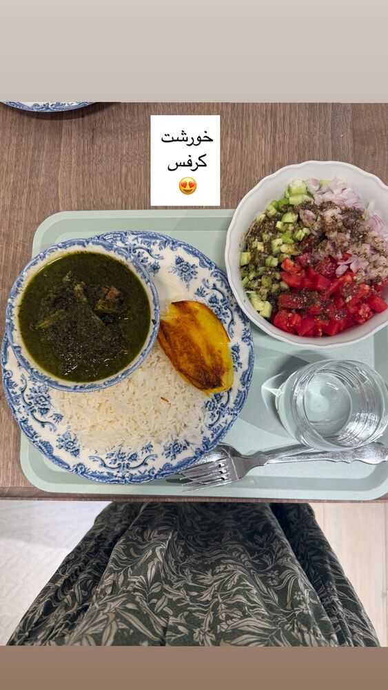  جدید ترین استوری اینستاگرام كامليا رودنشين