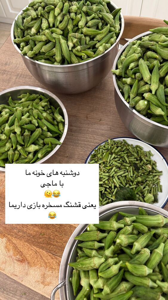  جدید ترین استوری اینستاگرام كامليا رودنشين