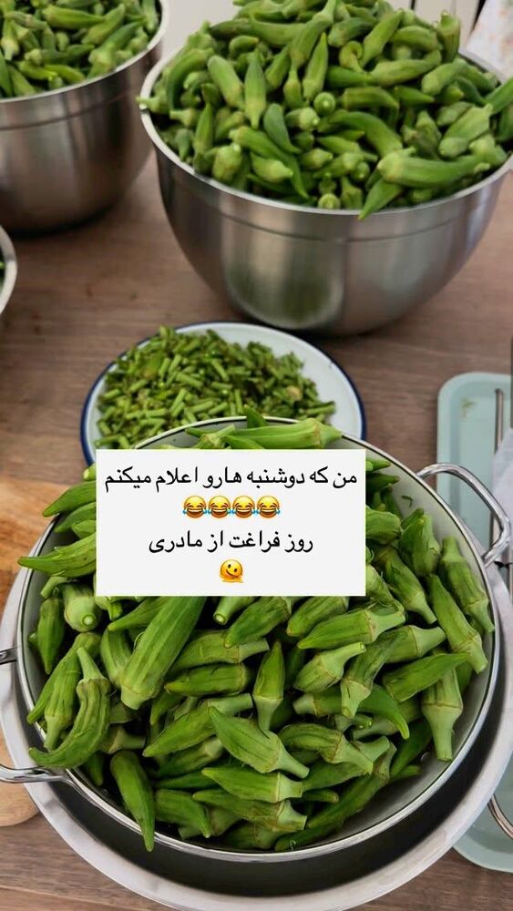  جدید ترین استوری اینستاگرام كامليا رودنشين