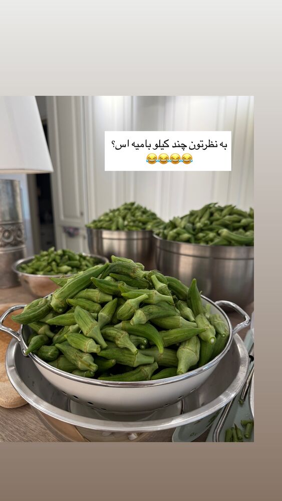  جدید ترین استوری اینستاگرام كامليا رودنشين