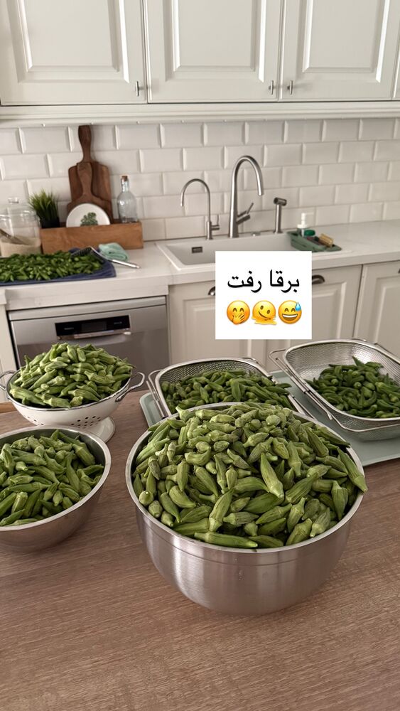  جدید ترین استوری اینستاگرام كامليا رودنشين