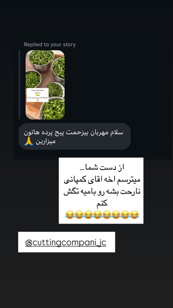  جدید ترین استوری اینستاگرام كامليا رودنشين