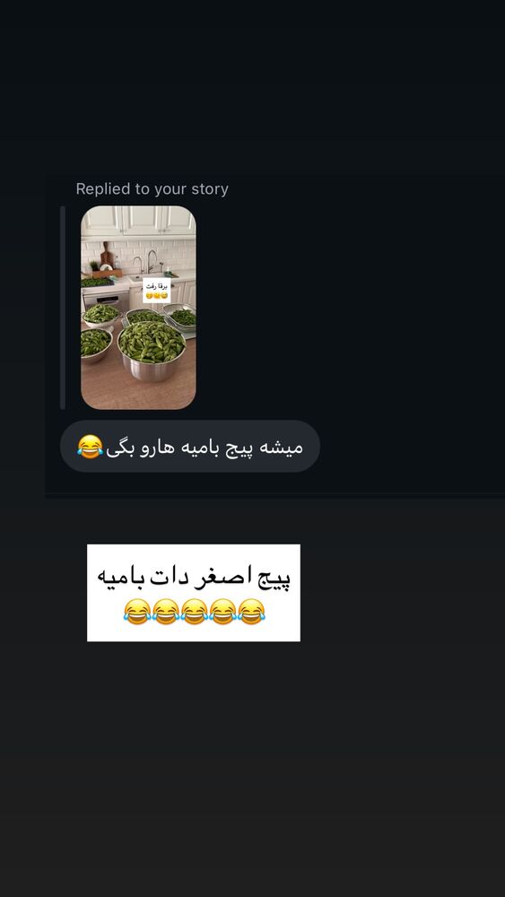  جدید ترین استوری اینستاگرام كامليا رودنشين