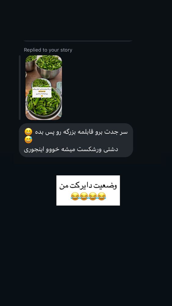  جدید ترین استوری اینستاگرام كامليا رودنشين