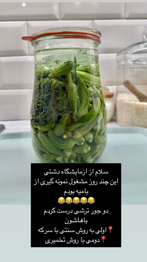  جدید ترین استوری اینستاگرام كامليا رودنشين