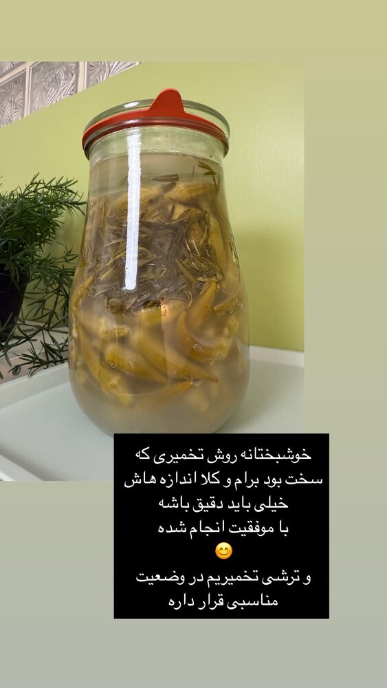 جدید ترین استوری اینستاگرام كامليا رودنشين