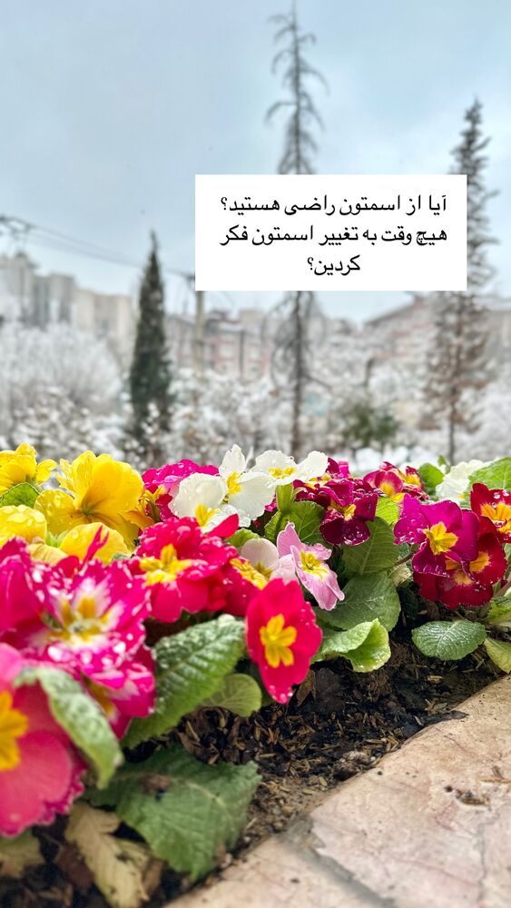  جدید ترین استوری اینستاگرام كامليا رودنشين