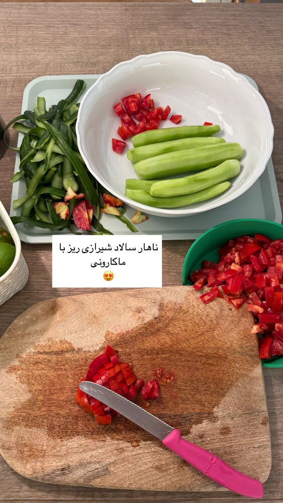  جدید ترین استوری اینستاگرام كامليا رودنشين