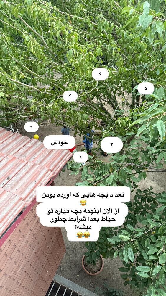  جدید ترین استوری اینستاگرام كامليا رودنشين