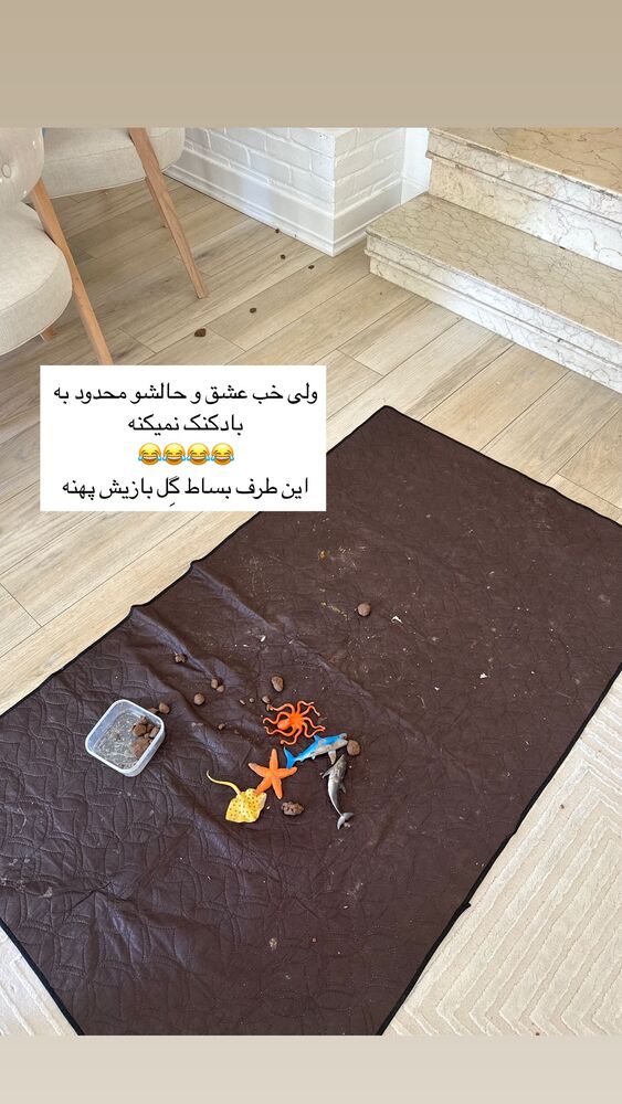  جدید ترین استوری اینستاگرام كامليا رودنشين
