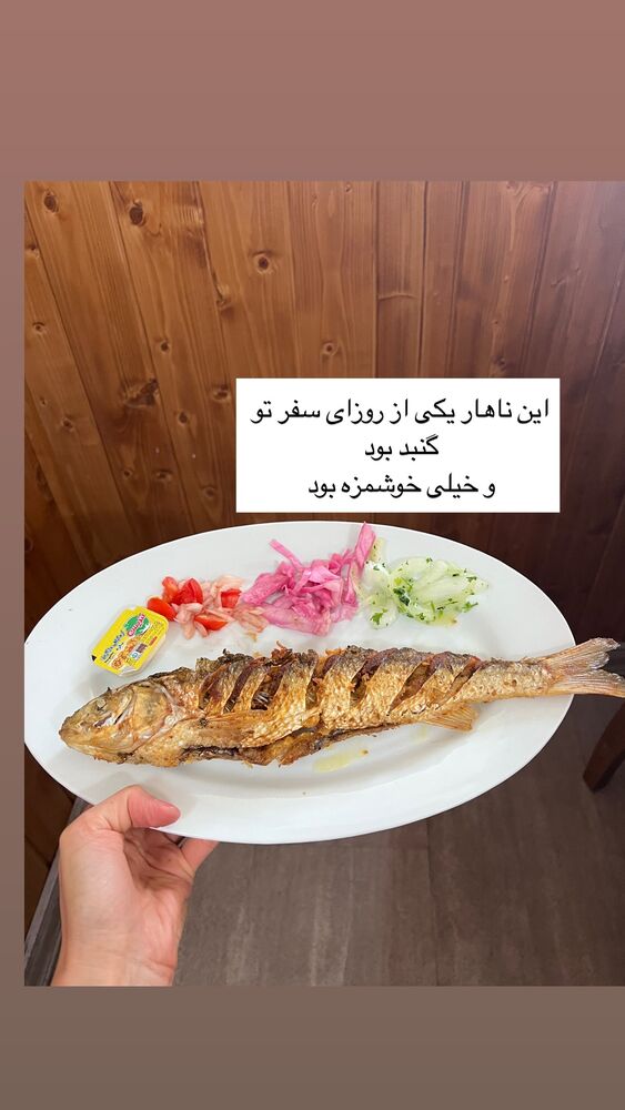  جدید ترین استوری اینستاگرام كامليا رودنشين
