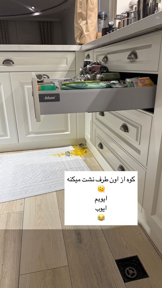  جدید ترین استوری اینستاگرام كامليا رودنشين