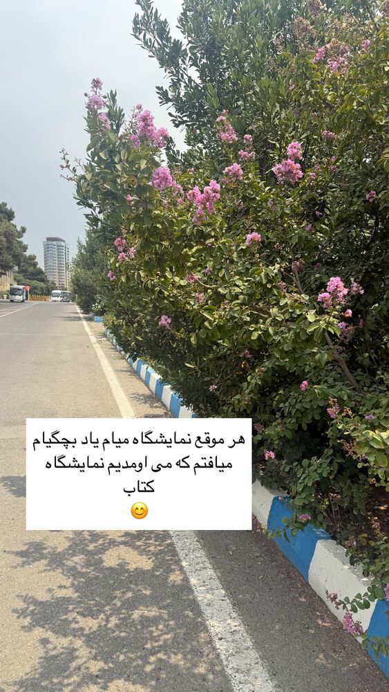  جدید ترین استوری اینستاگرام كامليا رودنشين