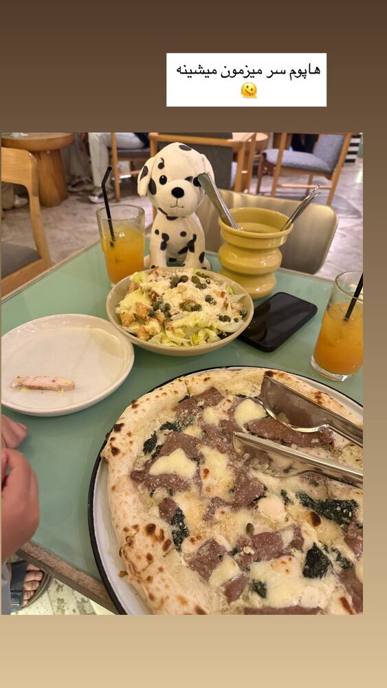  جدید ترین استوری اینستاگرام كامليا رودنشين