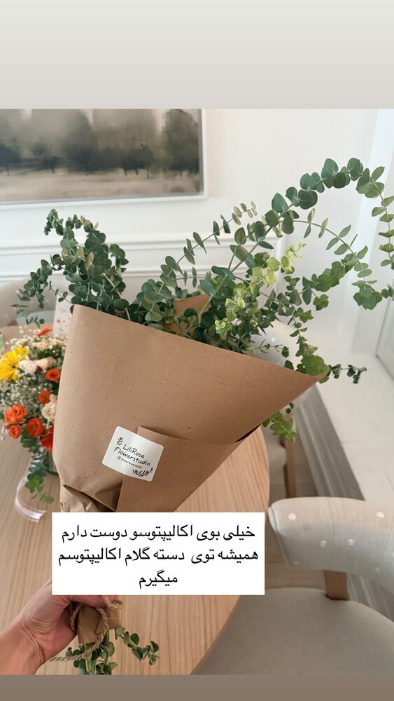  جدید ترین استوری اینستاگرام كامليا رودنشين