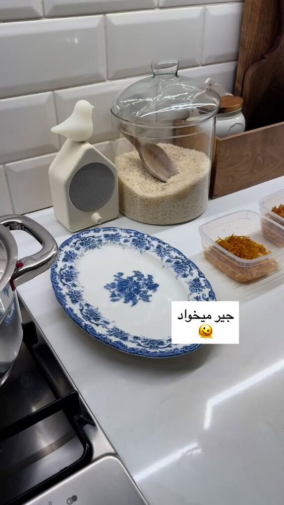  جدید ترین استوری اینستاگرام كامليا رودنشين