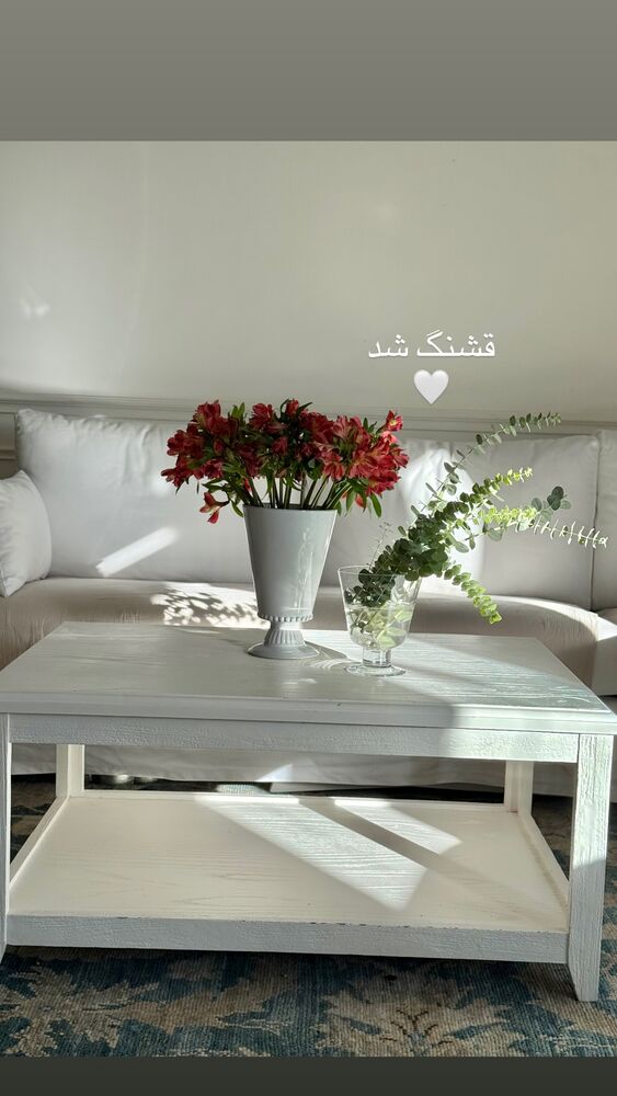  جدید ترین استوری اینستاگرام كامليا رودنشين