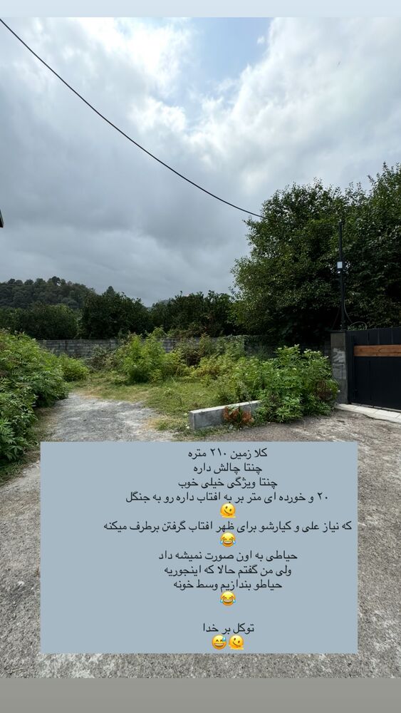  جدید ترین استوری اینستاگرام كامليا رودنشين