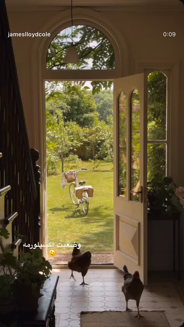  جدید ترین استوری اینستاگرام كامليا رودنشين