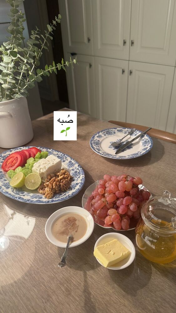  جدید ترین استوری اینستاگرام كامليا رودنشين