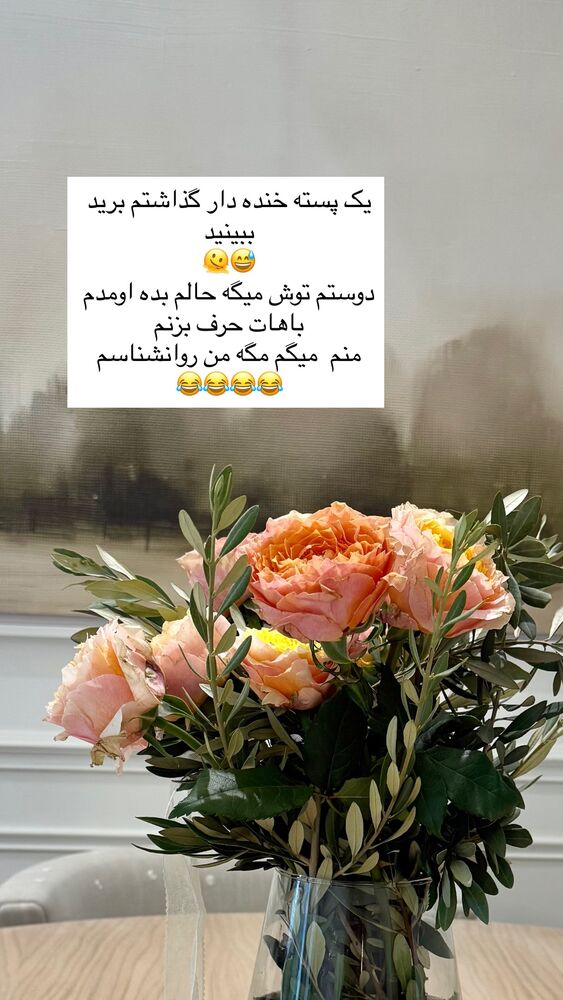  جدید ترین استوری اینستاگرام كامليا رودنشين
