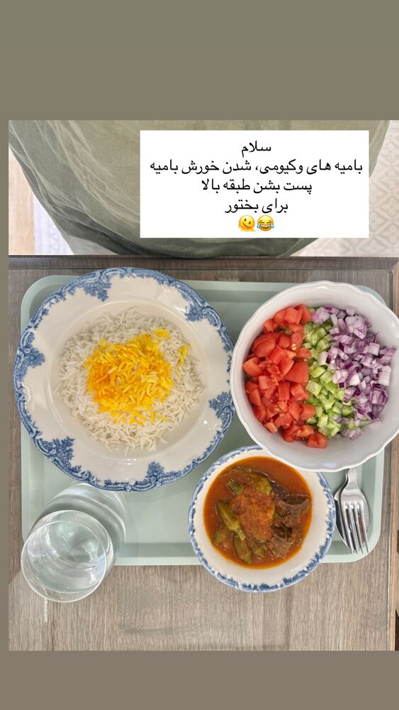  جدید ترین استوری اینستاگرام كامليا رودنشين