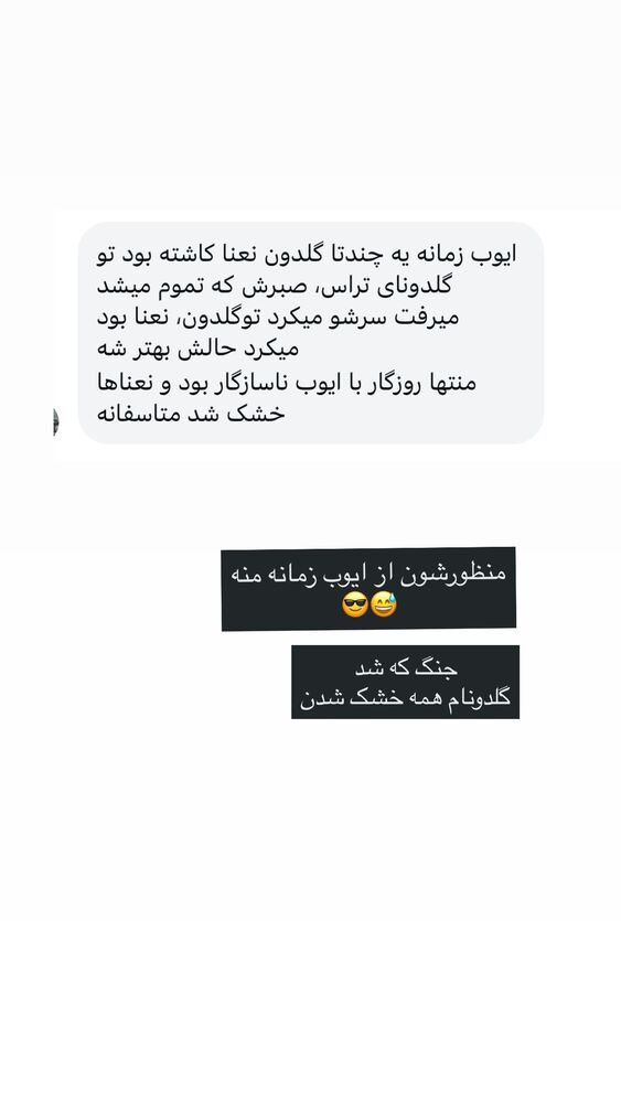  جدید ترین استوری اینستاگرام كامليا رودنشين