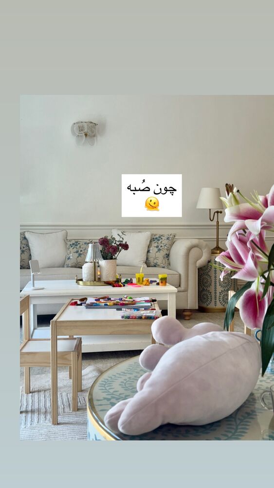  جدید ترین استوری اینستاگرام كامليا رودنشين