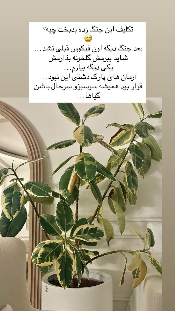  جدید ترین استوری اینستاگرام كامليا رودنشين