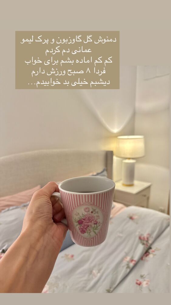  جدید ترین استوری اینستاگرام كامليا رودنشين