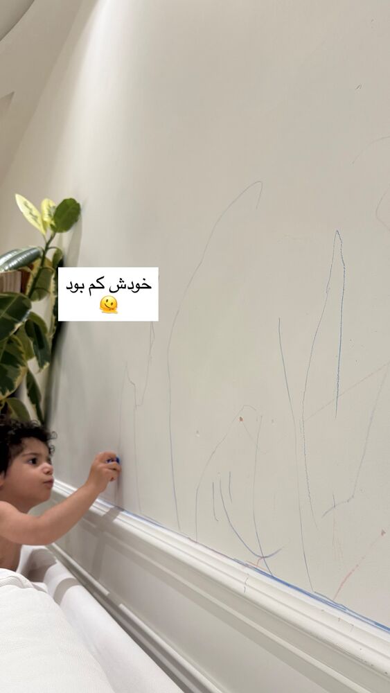  جدید ترین استوری اینستاگرام كامليا رودنشين