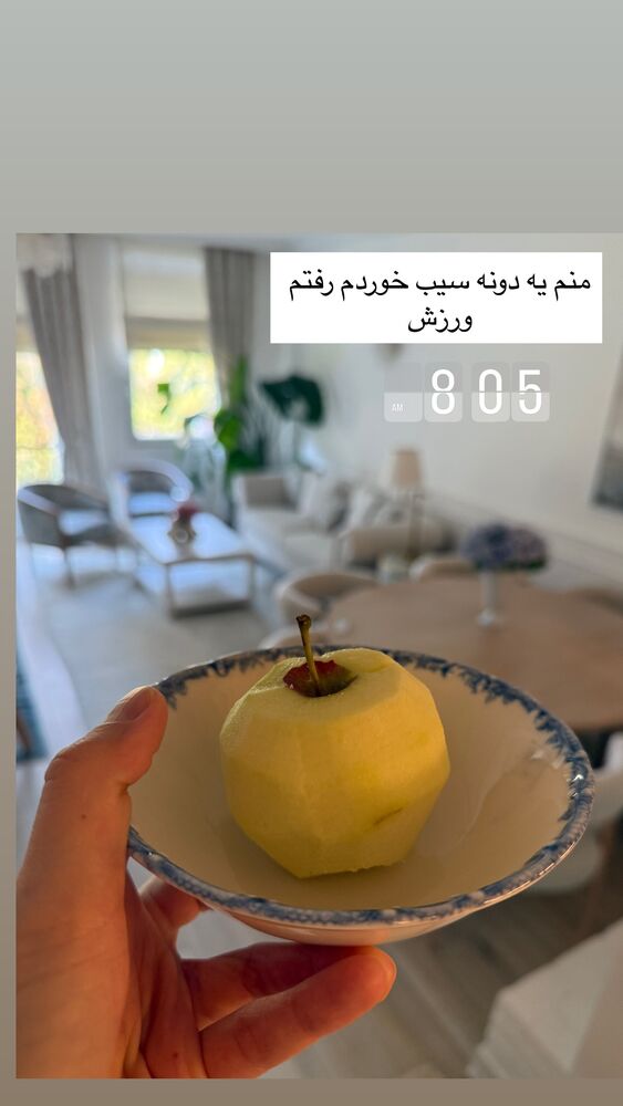  جدید ترین استوری اینستاگرام كامليا رودنشين